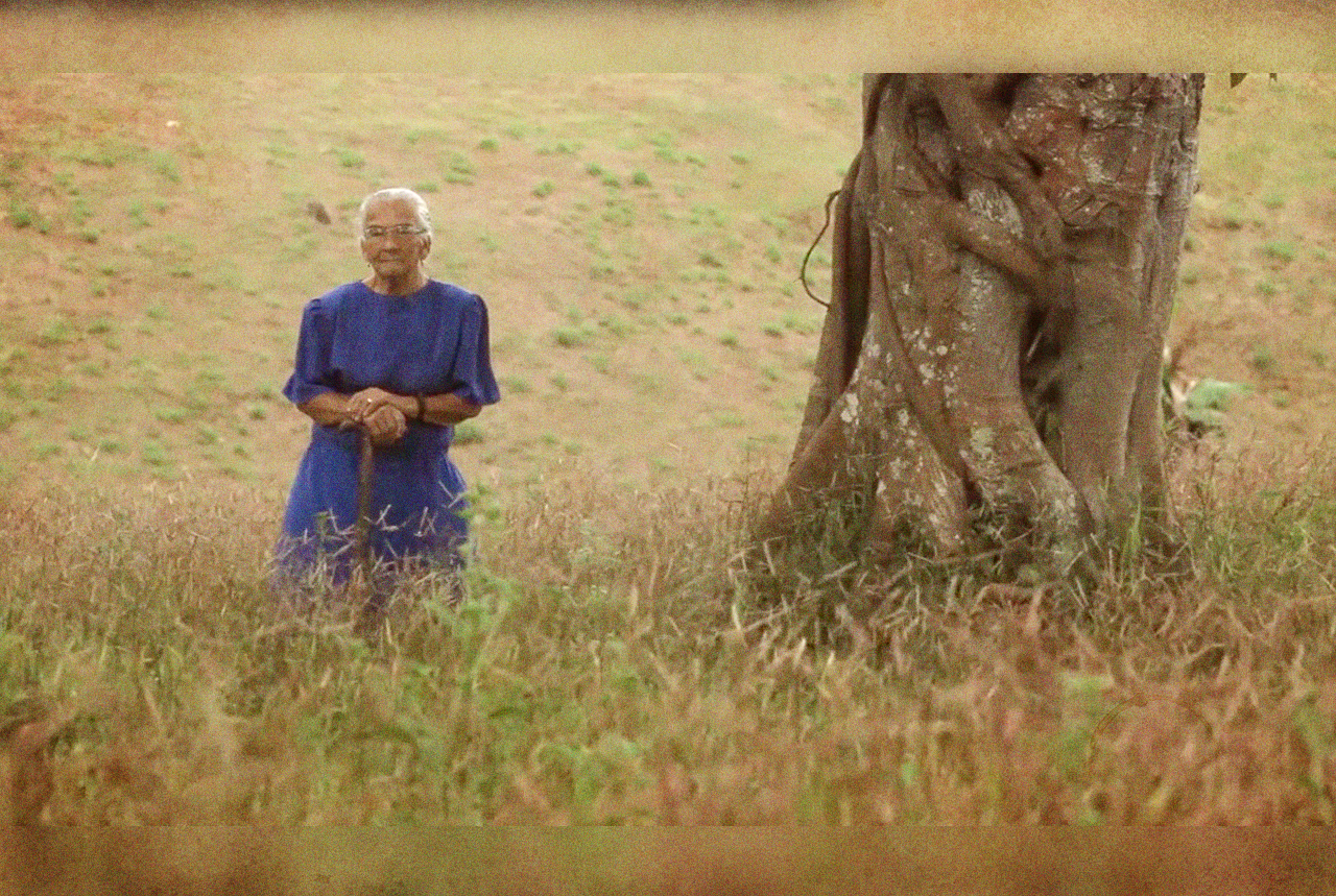video bg